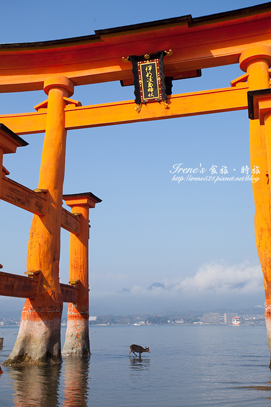 【廣島－景點】日本三景之一/世界文化遺產/建於海上的神社/潮起潮落的海上大鳥居．嚴島神社