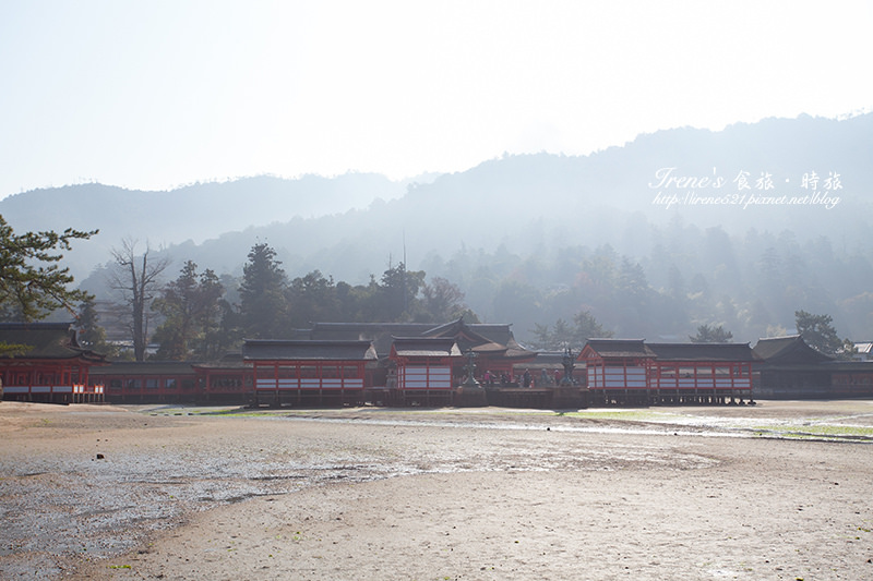 【廣島－景點】日本三景之一/世界文化遺產/建於海上的神社/潮起潮落的海上大鳥居．嚴島神社