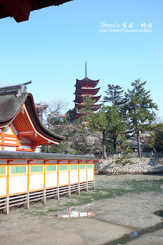 【廣島－景點】日本三景之一/世界文化遺產/建於海上的神社/潮起潮落的海上大鳥居．嚴島神社