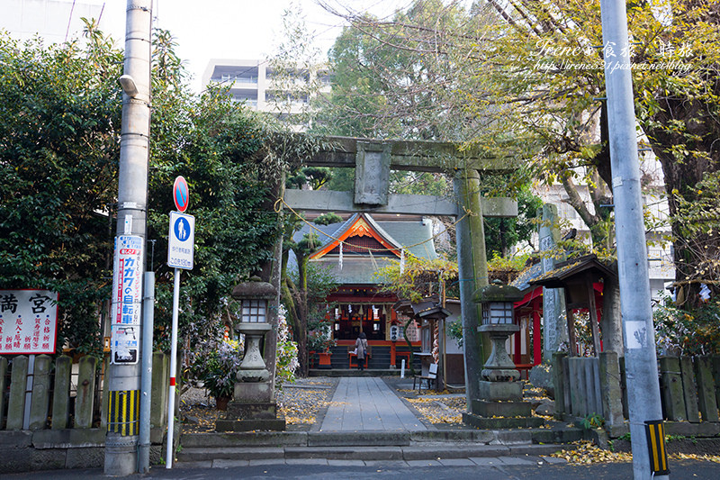 【熊本-景點】不在既定行程中的發現,獨享清幽寧靜的神社之美.熊本 手取天滿宮 【熊本-景點】不在既定行程中的發現,獨享清幽寧靜的神社之美.熊本 手取天滿宮