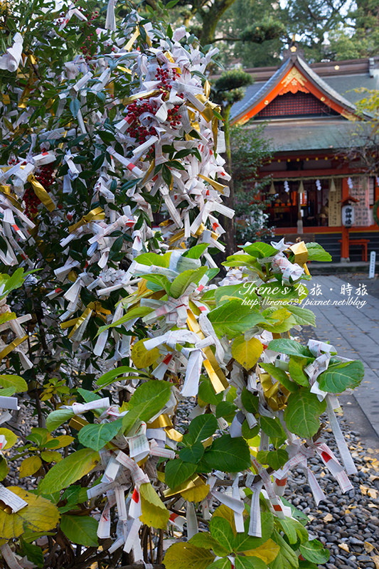 【熊本-景點】不在既定行程中的發現,獨享清幽寧靜的神社之美.熊本 手取天滿宮 【熊本-景點】不在既定行程中的發現,獨享清幽寧靜的神社之美.熊本 手取天滿宮