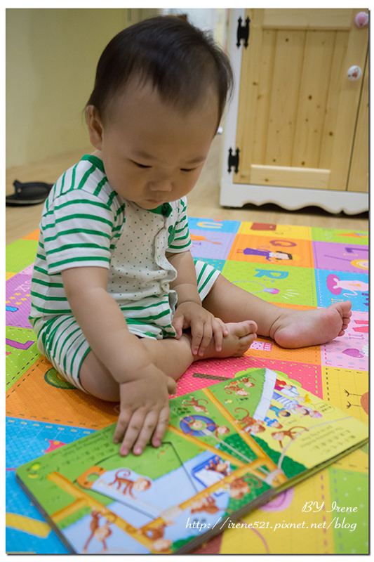【童書】會動的書真有趣，推拉轉翻翻書，提起寶寶的閱讀興趣