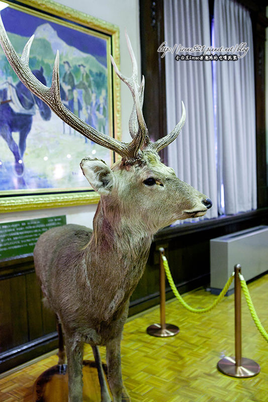 【北海道札幌】日本重要文化財產.北海道廳舊本廳舍(北海道庁旧本庁舎) 【北海道札幌】日本重要文化財產.北海道廳舊本廳舍(北海道庁旧本庁舎)