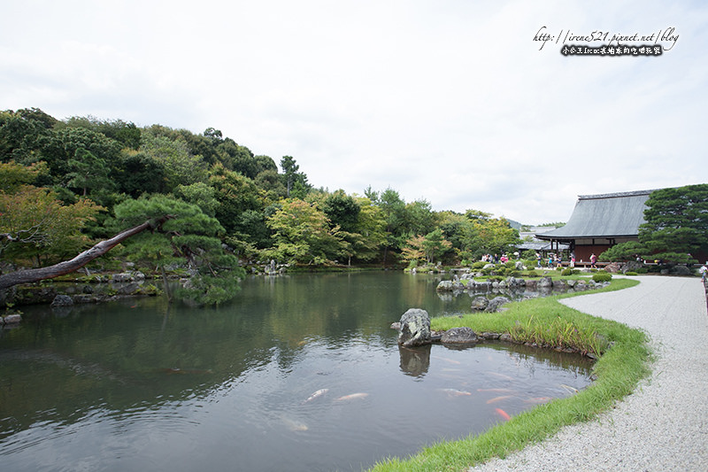 【京都嵐山】嵐山風景 世界文化遺産.天龍寺 【京都嵐山】嵐山風景 世界文化遺産.天龍寺