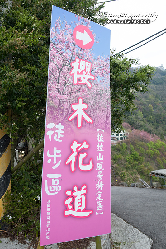 14.03.01-櫻木花道