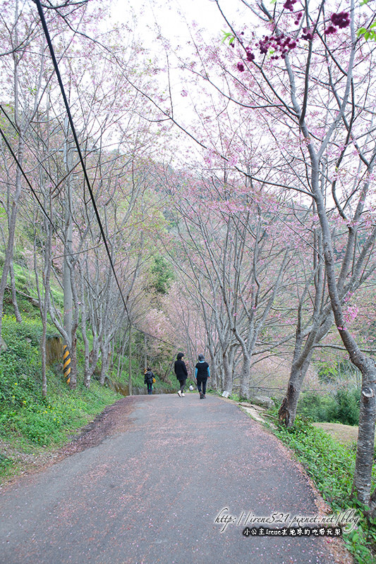 14.03.01-櫻木花道