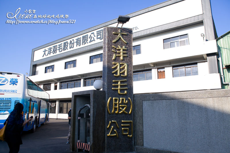 大洋羽毛-1