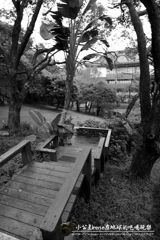 緣道觀音廟