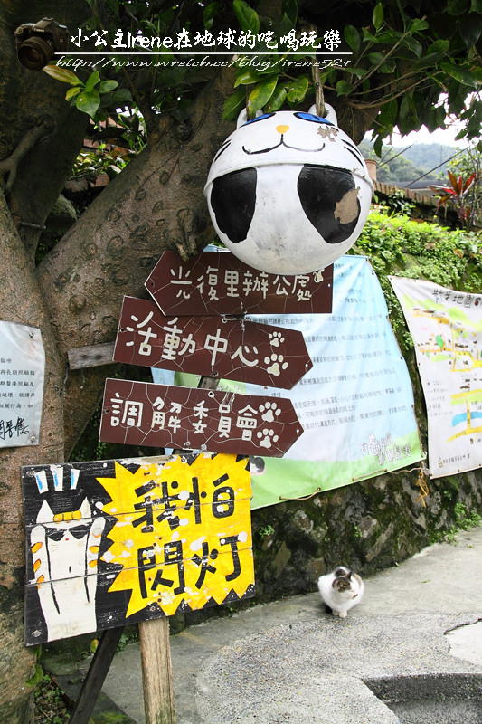 侯硐貓村