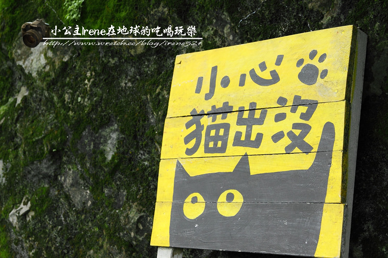 侯硐貓村
