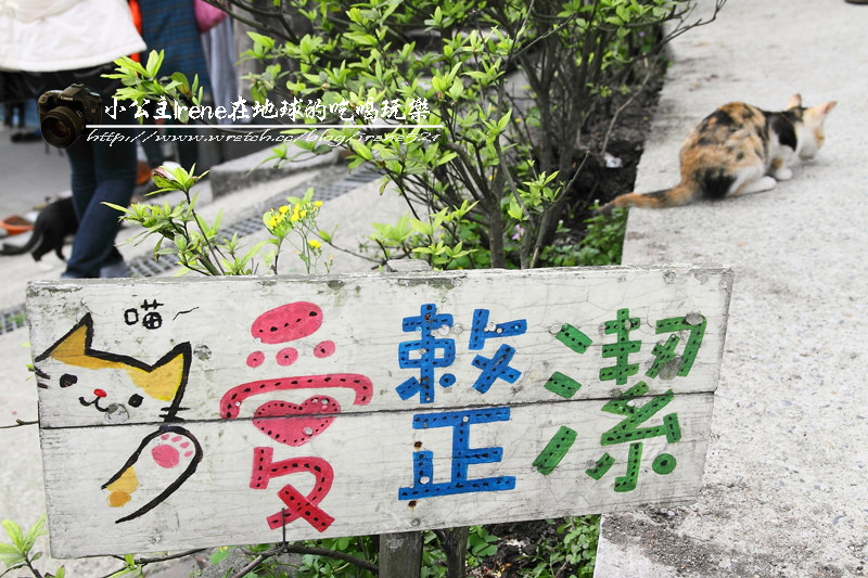 侯硐貓村