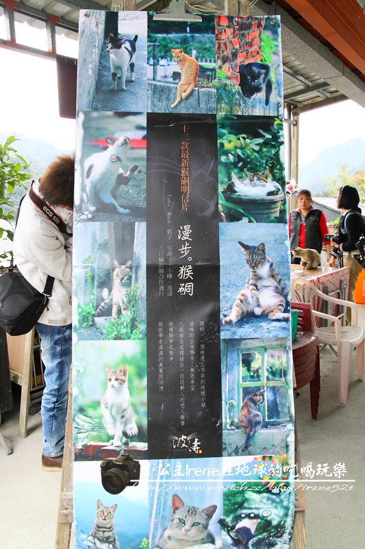 侯硐貓村