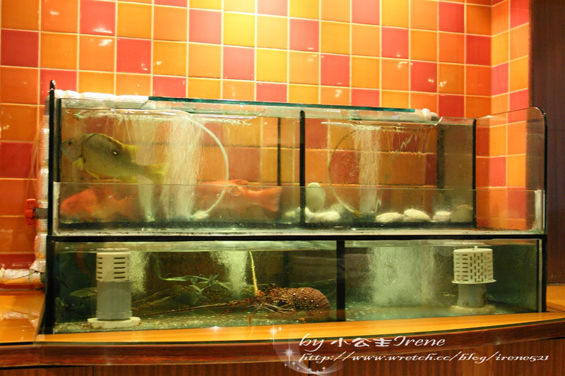 【台北中山區】涮出食材鮮滋味.欣葉呷哺呷哺 【台北中山區】涮出食材鮮滋味.欣葉呷哺呷哺