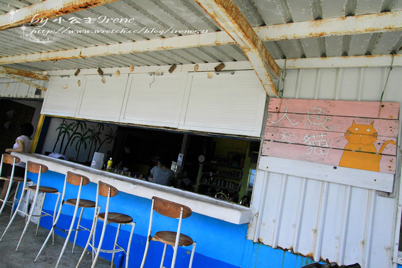 【蘭嶼】貓出沒 減速慢行‧人魚與貓 【蘭嶼】貓出沒 減速慢行‧人魚與貓