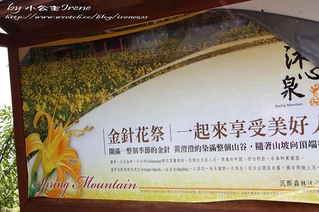 【台中新社】擁抱金針花海.沐心泉 【台中新社】擁抱金針花海.沐心泉