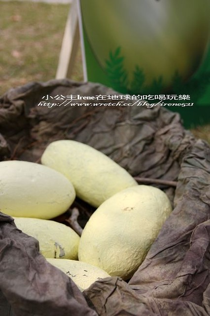 【台中】恐龍來了‧文心森林公園 【台中】恐龍來了‧文心森林公園
