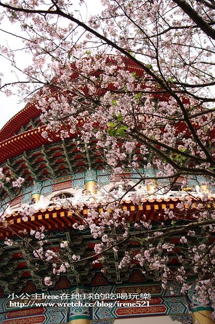【台北淡水】2010櫻花季‧天元宮 @Irene's 食旅．時旅