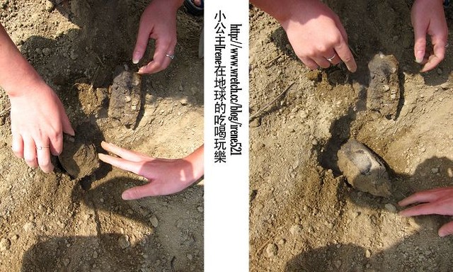 【嘉義】2010過年返鄉記 【嘉義】2010過年返鄉記