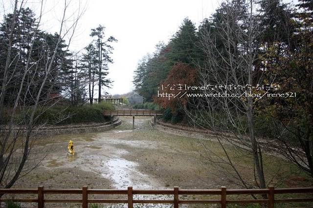 【台中】楓葉的故鄉‧福壽山農場 【台中】楓葉的故鄉‧福壽山農場