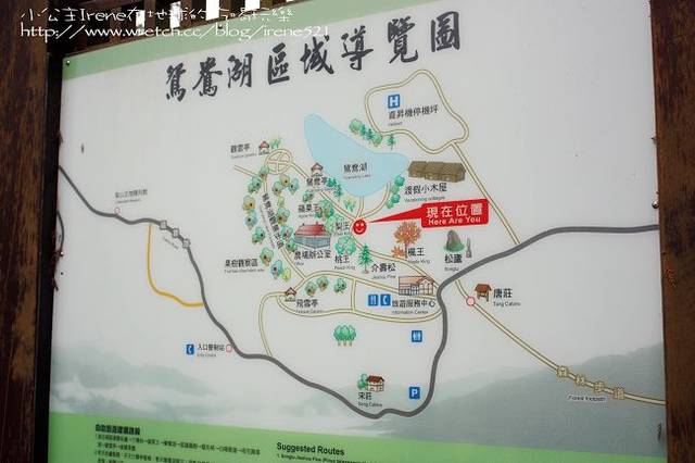 【台中】楓葉的故鄉‧福壽山農場 【台中】楓葉的故鄉‧福壽山農場