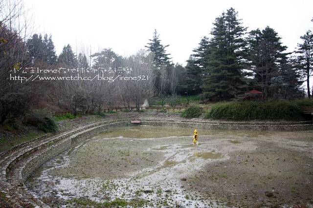 【台中】楓葉的故鄉‧福壽山農場 【台中】楓葉的故鄉‧福壽山農場