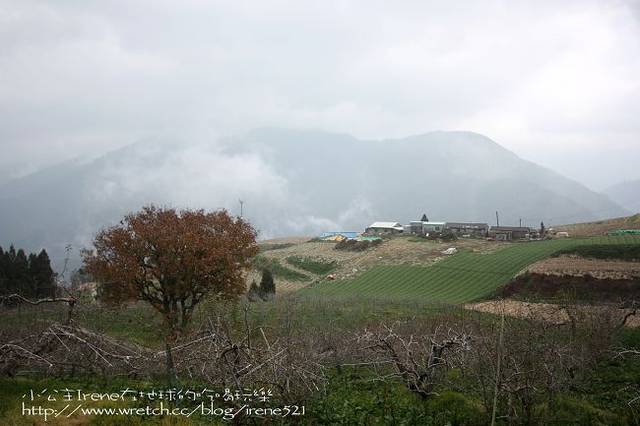 【台中】楓葉的故鄉‧福壽山農場 【台中】楓葉的故鄉‧福壽山農場