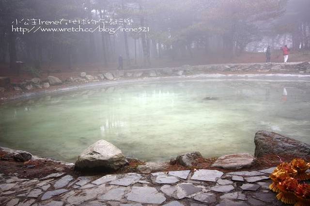 【台中】楓葉的故鄉‧福壽山農場 【台中】楓葉的故鄉‧福壽山農場