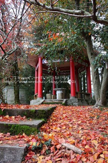 【台中】楓葉的故鄉‧福壽山農場 【台中】楓葉的故鄉‧福壽山農場