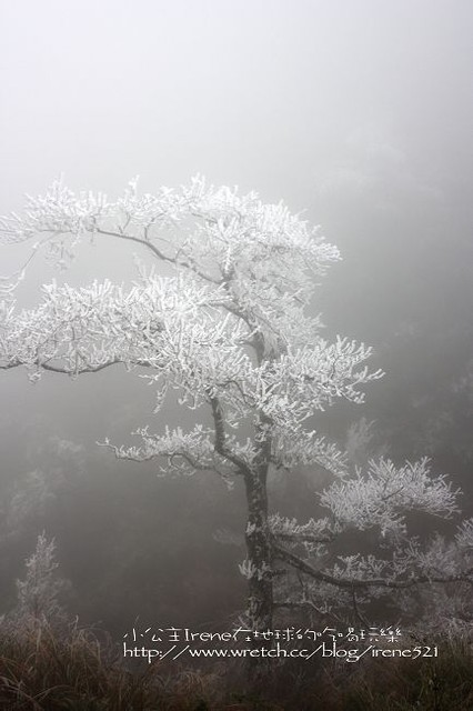 台中-凄冷的白色世界‧南湖大山登山口 台中-凄冷的白色世界‧南湖大山登山口