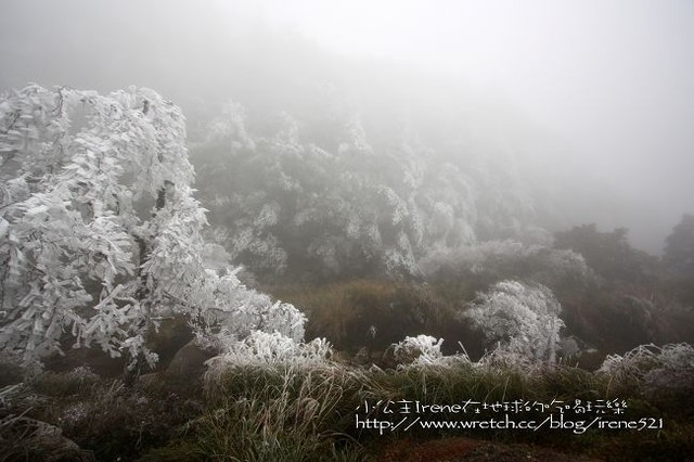 台中-凄冷的白色世界‧南湖大山登山口 台中-凄冷的白色世界‧南湖大山登山口