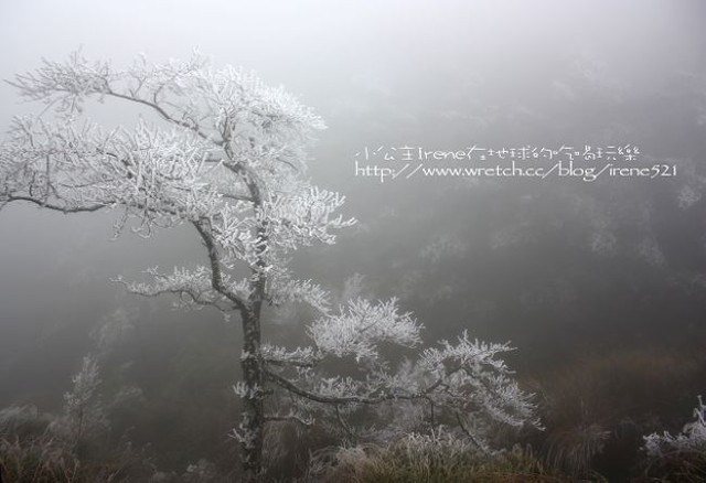 台中-凄冷的白色世界‧南湖大山登山口 台中-凄冷的白色世界‧南湖大山登山口