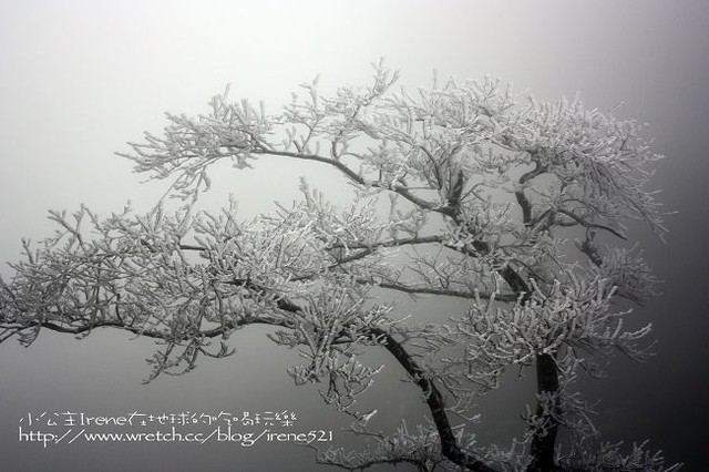 台中-凄冷的白色世界‧南湖大山登山口 台中-凄冷的白色世界‧南湖大山登山口