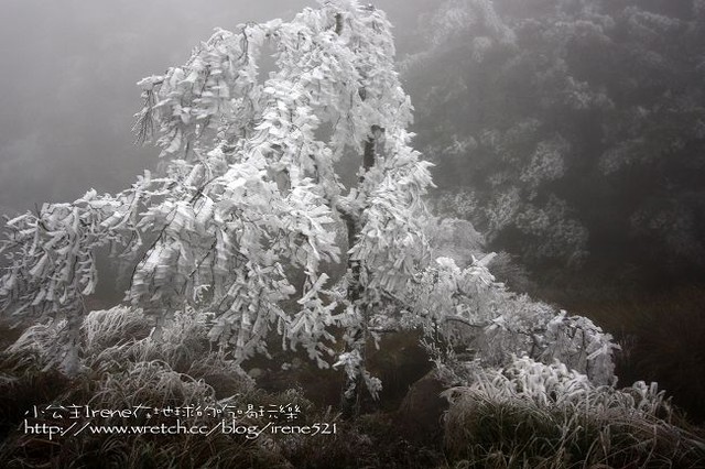 台中-凄冷的白色世界‧南湖大山登山口 台中-凄冷的白色世界‧南湖大山登山口