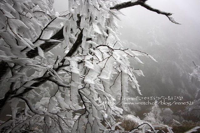 台中-凄冷的白色世界‧南湖大山登山口 台中-凄冷的白色世界‧南湖大山登山口