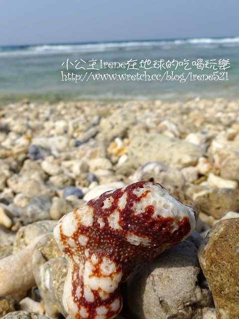 【小琉球】東方的威尼斯沙灘‧蛤板灣 【小琉球】東方的威尼斯沙灘‧蛤板灣