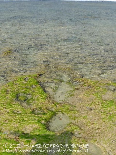 【小琉球】熱鬧的海底世界‧多仔坪潮間帶 【小琉球】熱鬧的海底世界‧多仔坪潮間帶