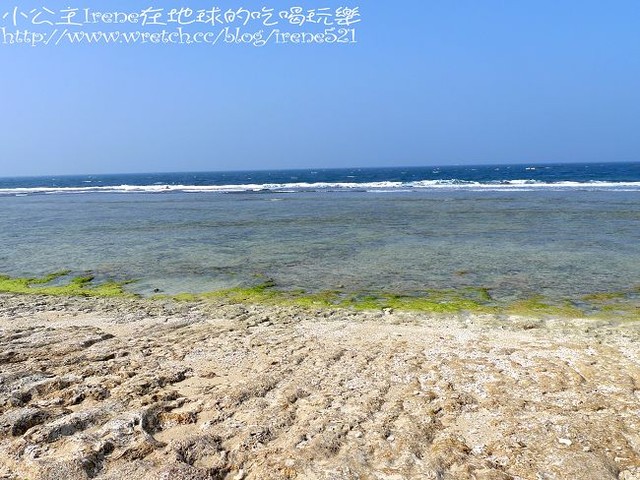 【小琉球】熱鬧的海底世界‧多仔坪潮間帶 【小琉球】熱鬧的海底世界‧多仔坪潮間帶