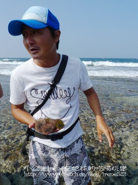 【小琉球】熱鬧的海底世界‧多仔坪潮間帶 【小琉球】熱鬧的海底世界‧多仔坪潮間帶