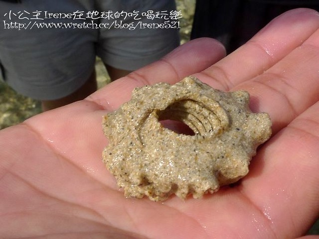 【小琉球】熱鬧的海底世界‧多仔坪潮間帶 【小琉球】熱鬧的海底世界‧多仔坪潮間帶