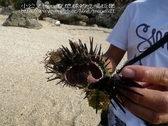 【小琉球】熱鬧的海底世界‧多仔坪潮間帶 【小琉球】熱鬧的海底世界‧多仔坪潮間帶