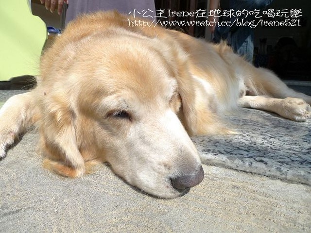 【小琉球】溫馨舒適的民宿‧大海的家 【小琉球】溫馨舒適的民宿‧大海的家