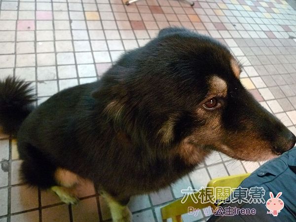 【板橋】日式風格路邊攤‧六根關東煮 【板橋】日式風格路邊攤‧六根關東煮