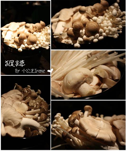 台北-狠辣‧激辣嗆蟹鍋/麻辣鴛鴦 台北-狠辣‧激辣嗆蟹鍋/麻辣鴛鴦