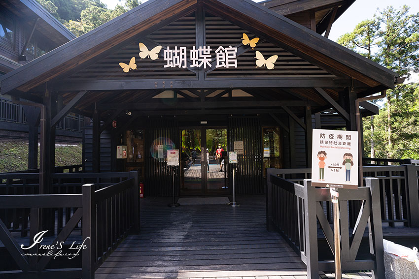 涼爽的秋,一起享受森林芬多精吧!小孩也適合走的親子步道,滿月圓國家森林遊樂區 涼爽的秋,一起享受森林芬多精吧!小孩也適合走的親子步道,滿月圓國家森林遊樂區