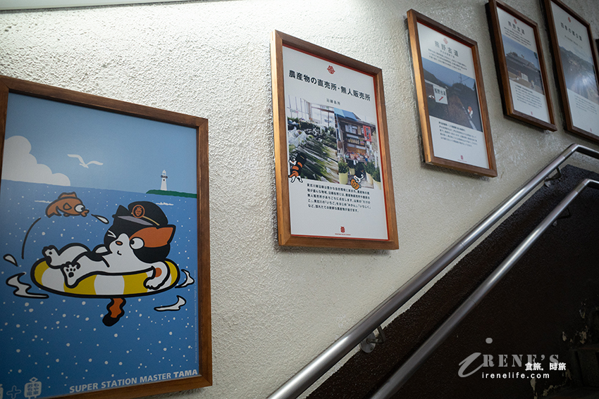 和歌山貴志川線半日遊，拜訪日本最萌的貓咪車站！特色列車必搭「小玉電車博物館」