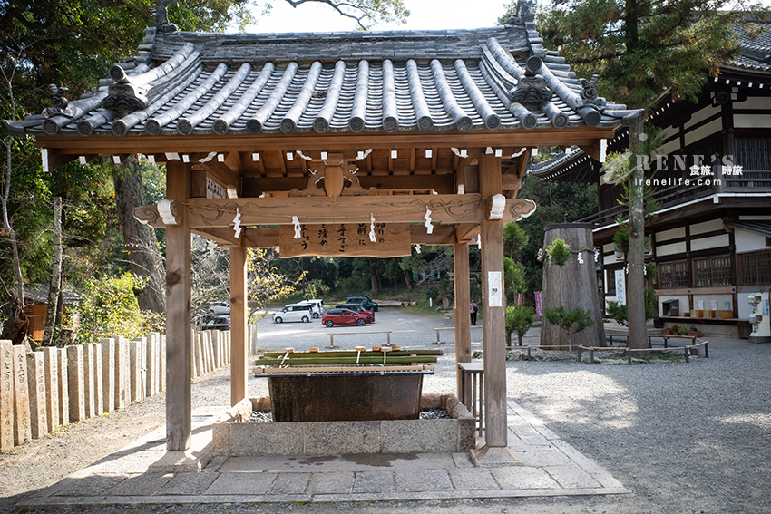 和歌山貴志川線半日遊，拜訪日本最萌的貓咪車站！特色列車必搭「小玉電車博物館」