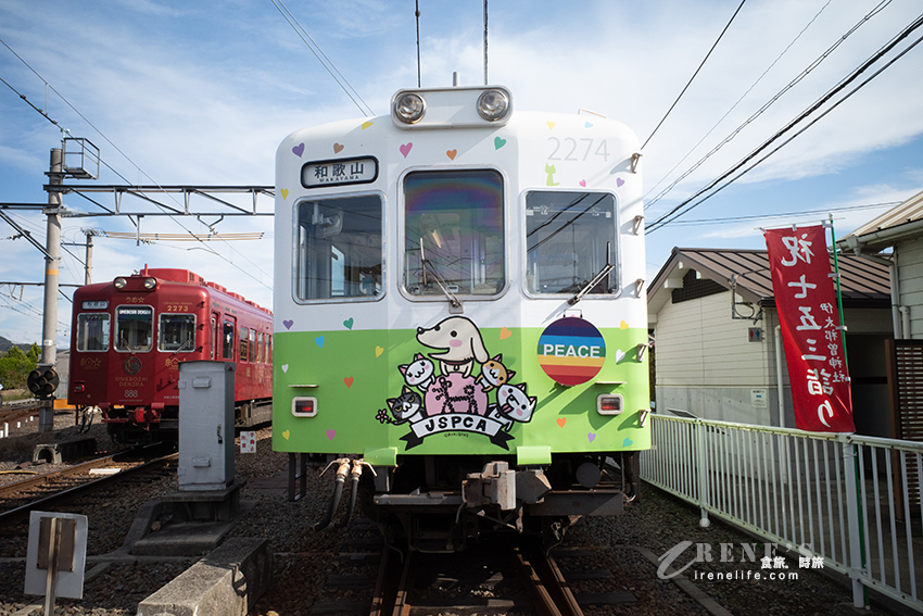 和歌山貴志川線半日遊，拜訪日本最萌的貓咪車站！特色列車必搭「小玉電車博物館」