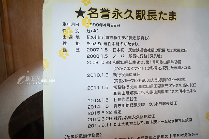 和歌山貴志川線半日遊，拜訪日本最萌的貓咪車站！特色列車必搭「小玉電車博物館」