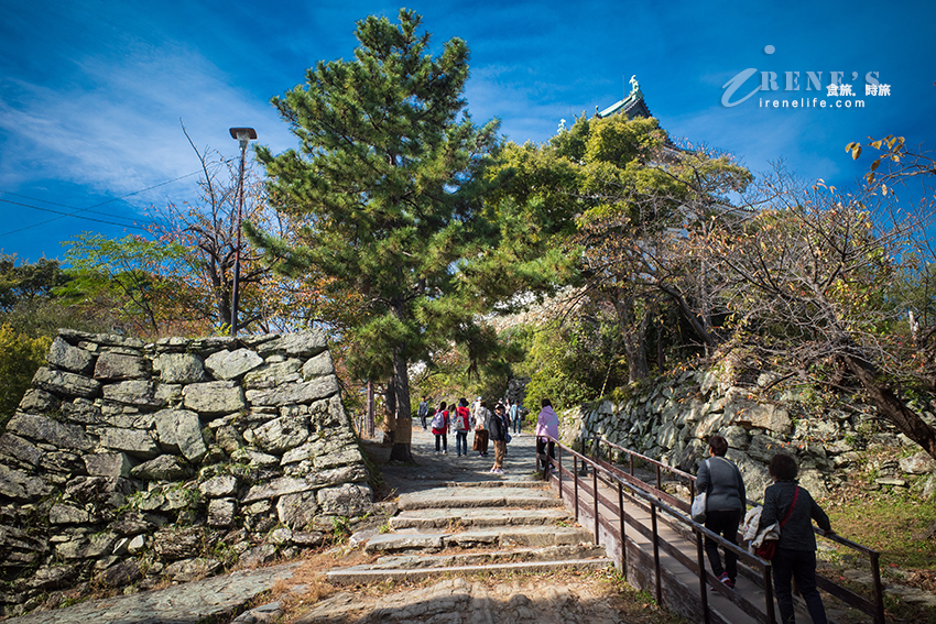日本100名城之一和歌山城,歷史與景觀結合為一的優雅之城,攀上天守閣一覽和歌山市的美景 日本100名城之一和歌山城,歷史與景觀結合為一的優雅之城,攀上天守閣一覽和歌山市的美景