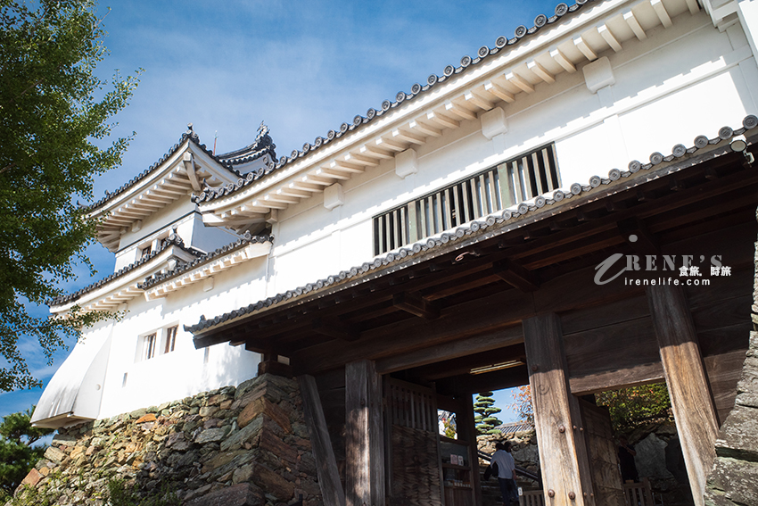 日本100名城之一和歌山城，歷史與景觀結合為一的優雅之城，攀上天守閣一覽和歌山市的美景